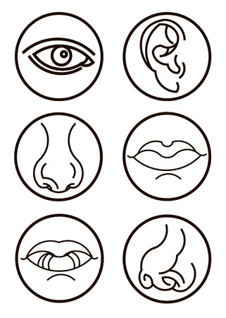 ear illustration graphic human symbo noseのイラスト素材