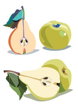 pear, green,  leaf, healthy, apple, fruitsのイラスト素材