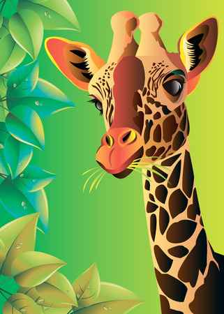 giraffe animal wild african tall natureのイラスト素材