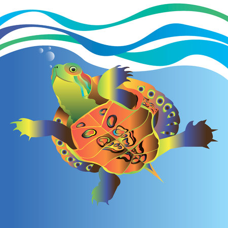 animal turtle illustration reptile cartoon natureのイラスト素材