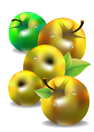 fruit leaf illustration apple fresh natureのイラスト素材
