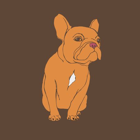dog vector breed cute pet animal bulldogのイラスト素材