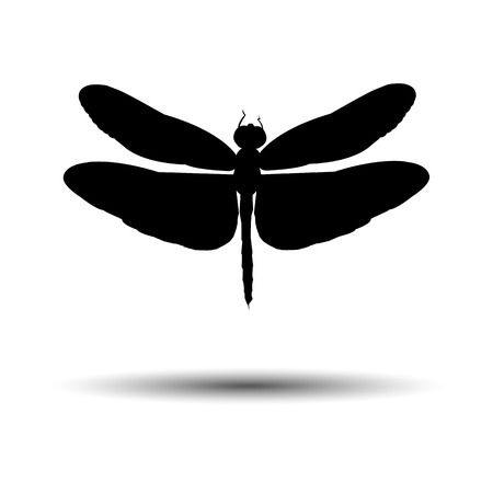 vector color art dragonfly nature wildlife fly summer illustration design insectのイラスト素材