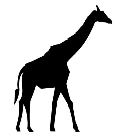 animal giraffe vector africa illustration safari mammal cute african cartoon tallのイラスト素材