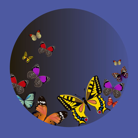 vector butterfly insect art white decorative colorのイラスト素材