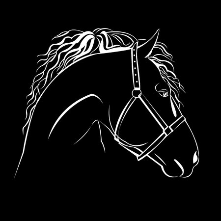 head mustang icon equestrian animal black farmのイラスト素材