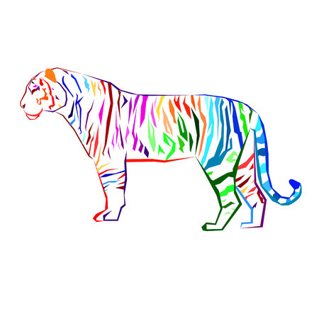 tiger wild illustration strength mammal wildlife graphic carnivore wildcatのイラスト素材
