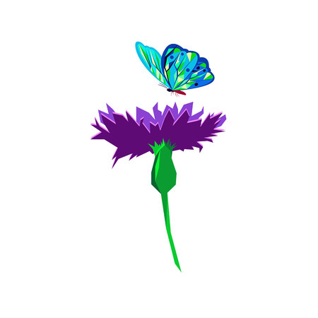 Knapweed flower on white background. vector illustration of blue little flowers butterflyのイラスト素材
