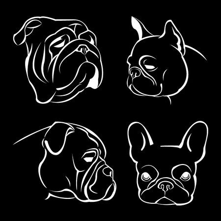 dog vector breed cute pet animal bulldog frenchのイラスト素材