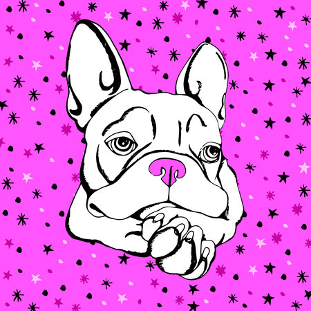 Bulldog, dog, animal, french, vector, illustration, pet, breed, cute, drawing, puppy.のイラスト素材
