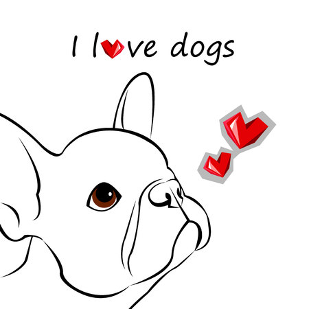 bulldog, dog, animal, french, vector, illustration, pet, breed, cute, drawing, puppyのイラスト素材