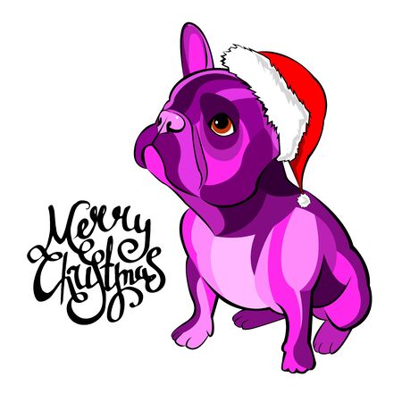 French bulldog Portrait in a Santa's hat . Vector illustration.のイラスト素材