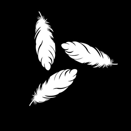 feather vector illustration art icon quill symbolのイラスト素材