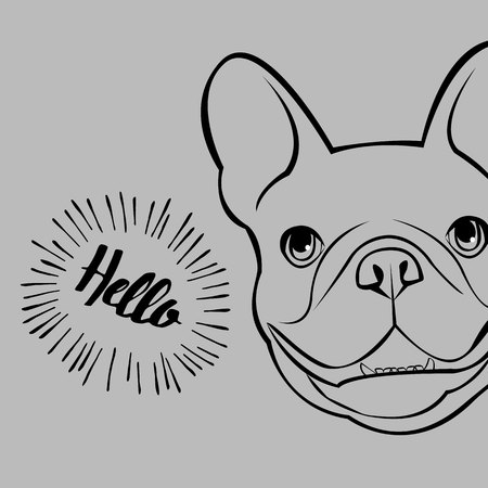 bulldog, dog, animal, french, vector, illustration, pet, breed, cute, drawing, puppyのイラスト素材