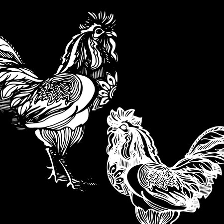 Rooster. Vector illustration. Greeting symbol of 2017 on the Chinese calendar. Happy new year 2017のイラスト素材