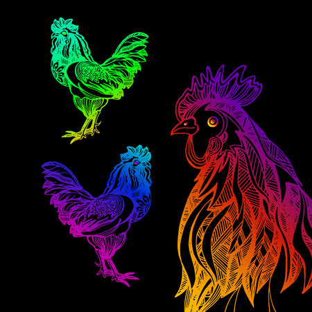 Rooster. Vector illustration. Greeting symbol of 2017 on the Chinese calendar. Happy new year 2017のイラスト素材