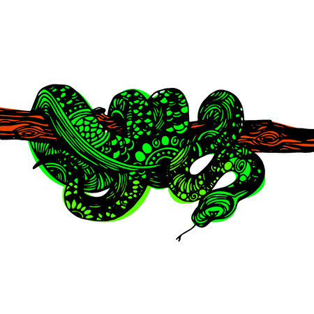 Cute Animals Snake. Cute funny snake. T-shirt Typography Graphics, Illustration.のイラスト素材