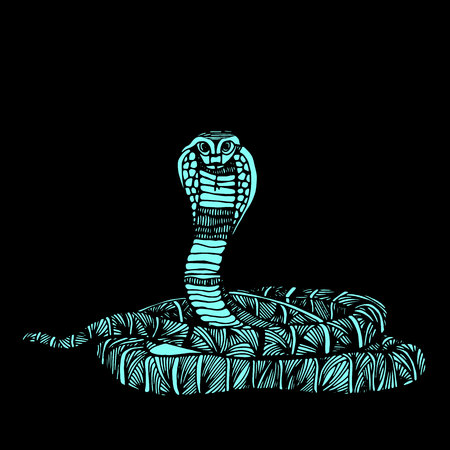 Cute Animals Snake. Cute funny snake. T-shirt Typography Graphics, Illustration.のイラスト素材