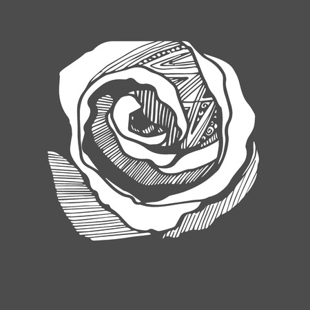 Flower, rose, spring, summer, background, botanical, garden, art, nature.のイラスト素材