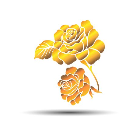 floral flower rose spring summer background botanical gardenのイラスト素材