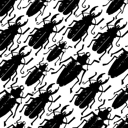 Beetle insect. Nature water beetle and zoology water beetle. Wildlife insect water black beetle ecology detail.のイラスト素材