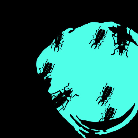 Beetle insect. Nature water beetle and zoology water beetle. Wildlife insect water black beetle ecology detail.のイラスト素材