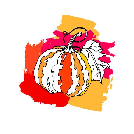 pumpkin vector autumn illustration halloween vegetable food vegetarian orangeのイラスト素材
