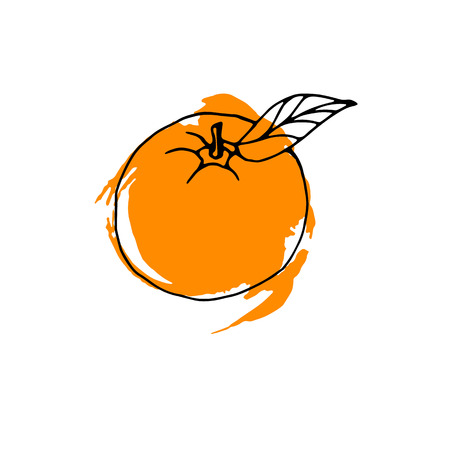 lemon, food, fruit, citrus, orange, vector, yellow, fresh, ripe, sliceのイラスト素材