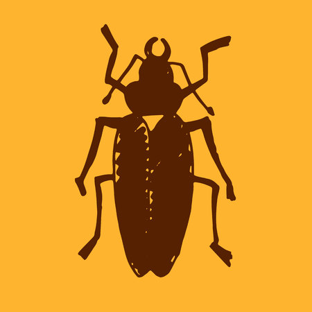 Beetle insect. Nature water beetle and zoology water beetle. Wildlife insect water black beetle ecology detail.のイラスト素材