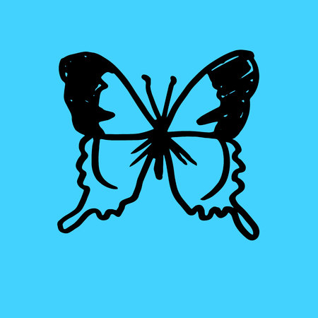 vector butterfly insect art white color fly graphic
