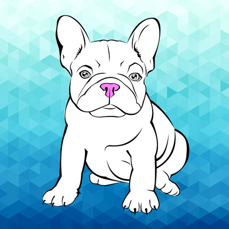 dog vector breed cute pet animal bulldog frenchのイラスト素材