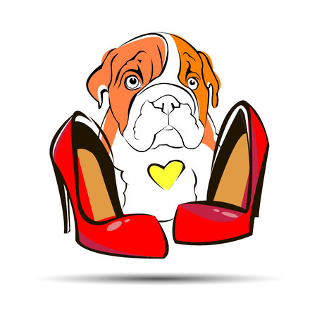bulldog english dog breed portrait illustration faceのイラスト素材