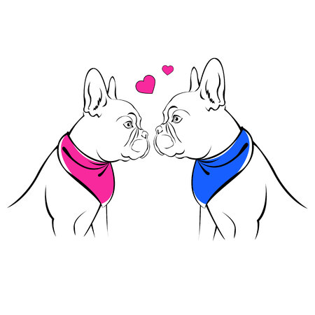 dog vector breed cute pet animal bulldog frenchのイラスト素材
