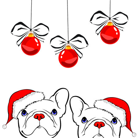 French bulldog Portrait in a Santa's hat . Vector illustration.のイラスト素材