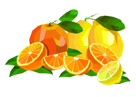 Collection of fruits. lemon, food, fruit, citrus, orange, vector, yellow, freshのイラスト素材