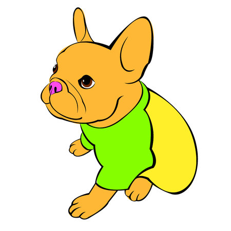 French Bulldog head icon in white for a mascot and T shirt graphic.のイラスト素材