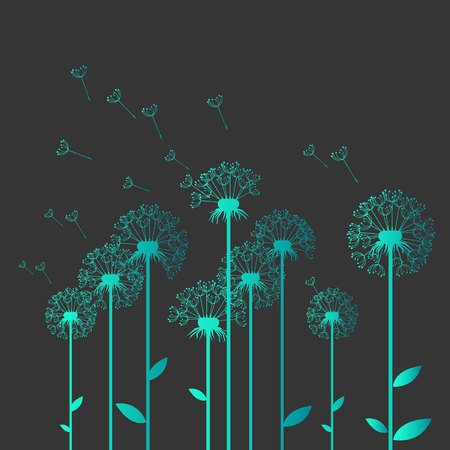 dandelion vector background botany flower blossom fluffyのイラスト素材