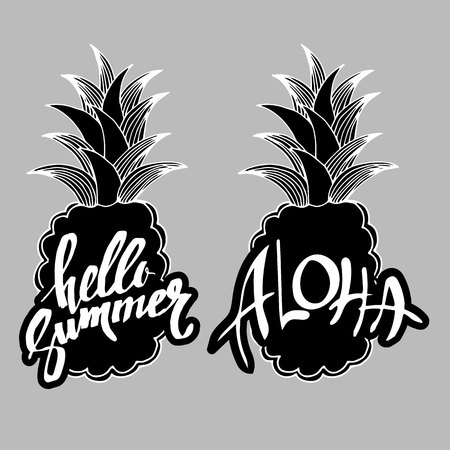 pineapple, vector, fruit, food, tropical, summer, design, illustration, background, sweetのイラスト素材