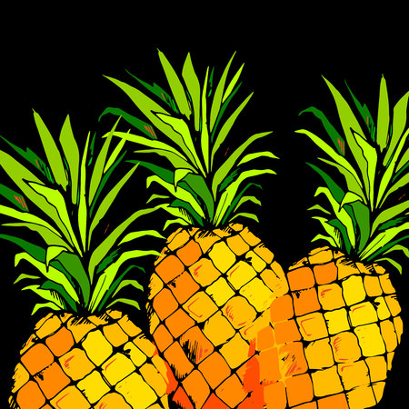 pineapple, vector, fruit, food, tropical, summer, design, illustration, background, sweetのイラスト素材