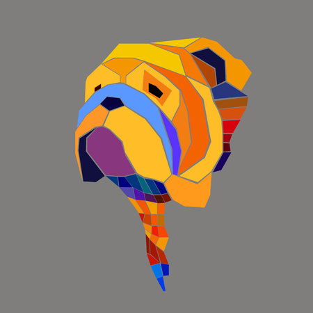 bulldog english dog breed portrait illustration faceのイラスト素材