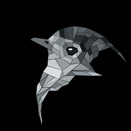 vector nature illustration bird art design graphicのイラスト素材