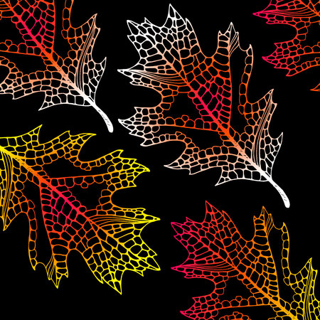 Colorful autumn leaves. Skeleton decorative leaves.のイラスト素材