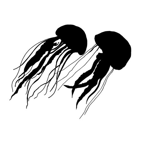jellyfish vector sea water ocean blue underwater marine natureのイラスト素材