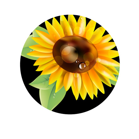 flower vector yellow summer garden sunflower illustration natureのイラスト素材