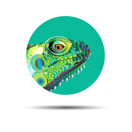 Chameleon cartoon character isolated on white backgroundのイラスト素材