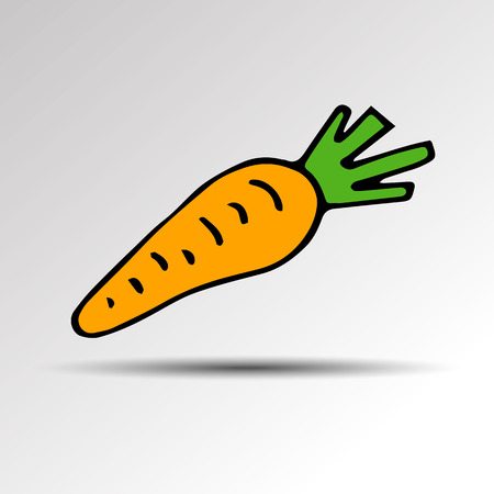 food carrot vegetable vegetarian illustration healthy vector organic fresh ripeのイラスト素材