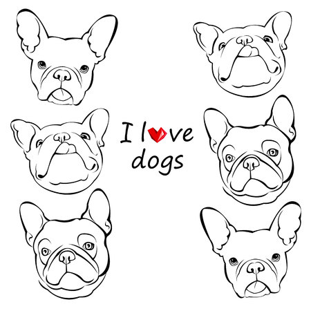 dog vector breed cute pet animal bulldogのイラスト素材