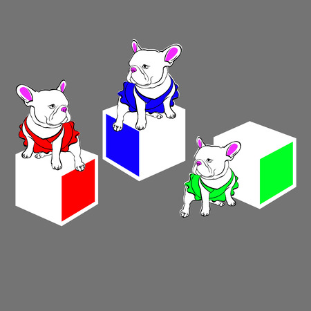 French bulldog background. Vector illustration. Dog, illustration, frenchのイラスト素材