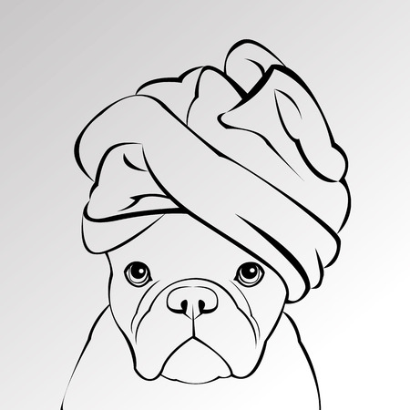 bulldog, dog, animal, french, vector, illustration, pet, breed, cuteのイラスト素材