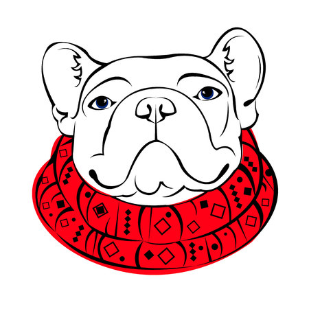 French Bulldog. Vector illustration for a poster. Cute puppy. Pedigree dog.のイラスト素材